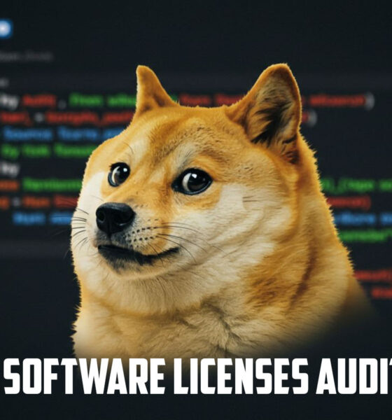 Doge Software Licenses Audit HUD