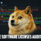 Doge Software Licenses Audit HUD