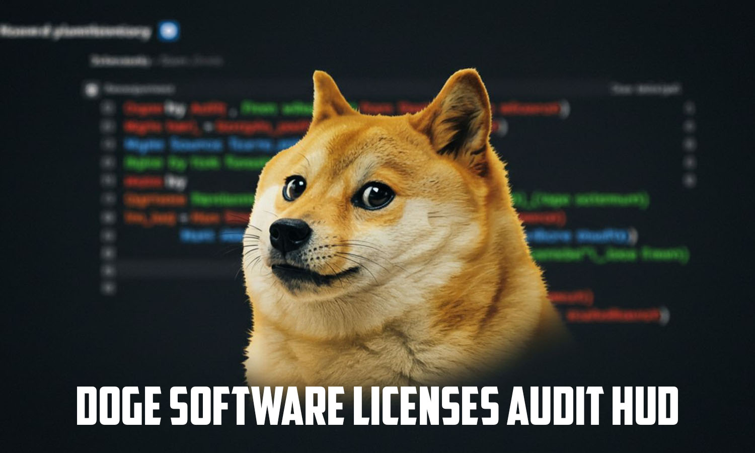 Doge Software Licenses Audit HUD
